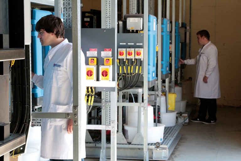 Engineering biology for the circular economy  in water resources