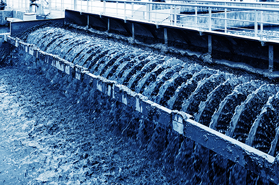 Watertrain forges ahead, creating new job opportunities