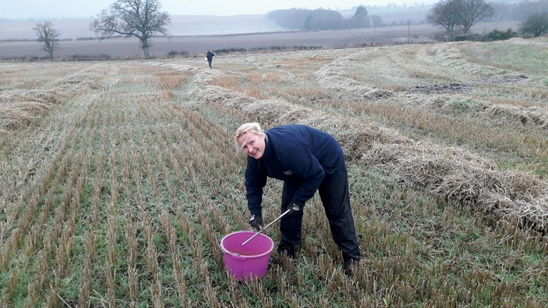Management of Biosolids Recycling