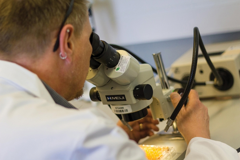 The future of the nanoparticle