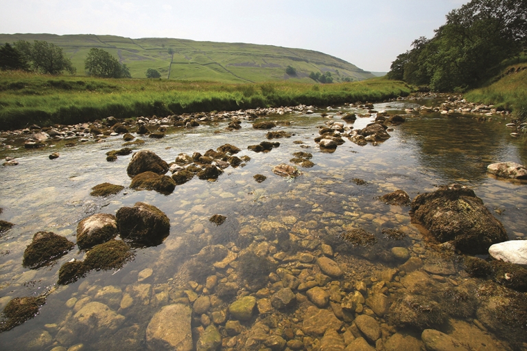 Yorkshire Water to improve 196km of rivers by reducing phosphorus levels