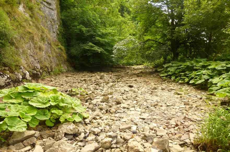 ‘Temporary rivers’ contribute significantly to global CO2 emissions, study finds