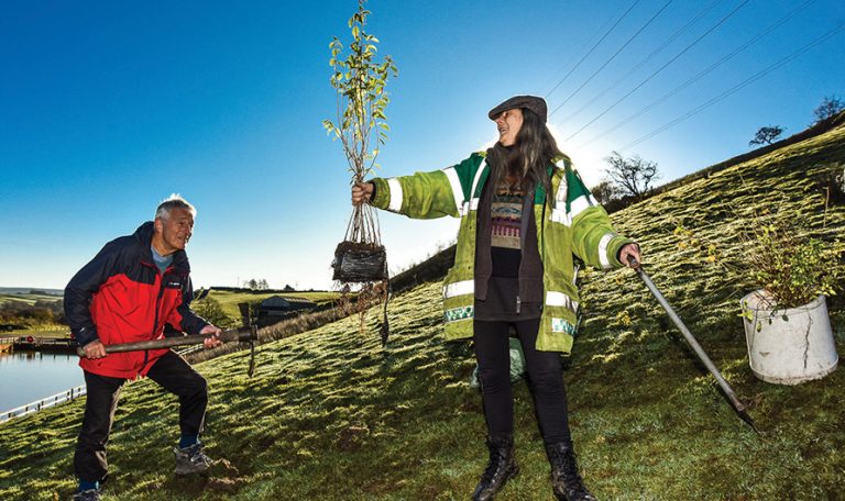 11 million trees to be planted