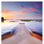 WIJ13-front-cover-web