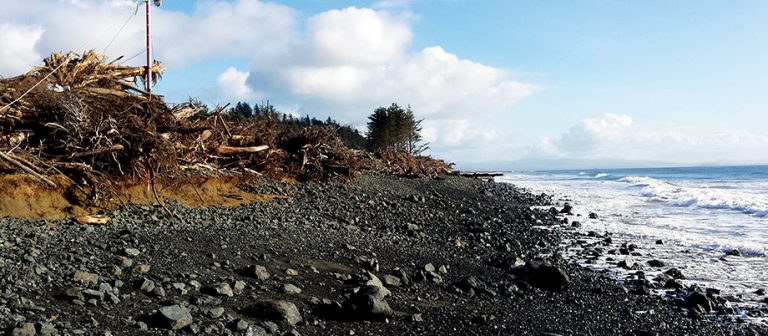 Are cobbles key to protecting our coasts?
