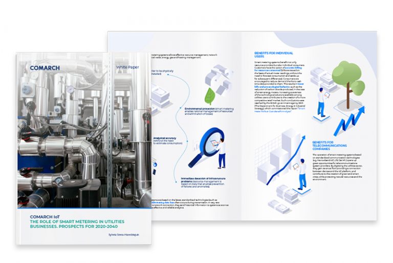 What role will Smart Metering systems play in the future? Get free White Paper!