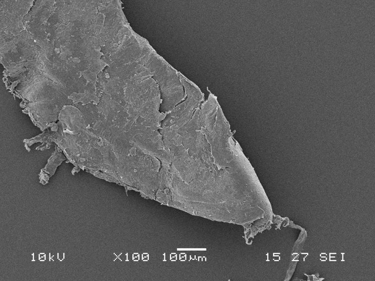 Turning the tide – Microplastics detection in wastewater