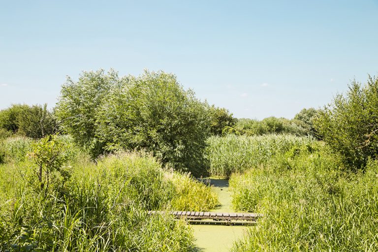 Wessex Water offers support to Covid-hit communities