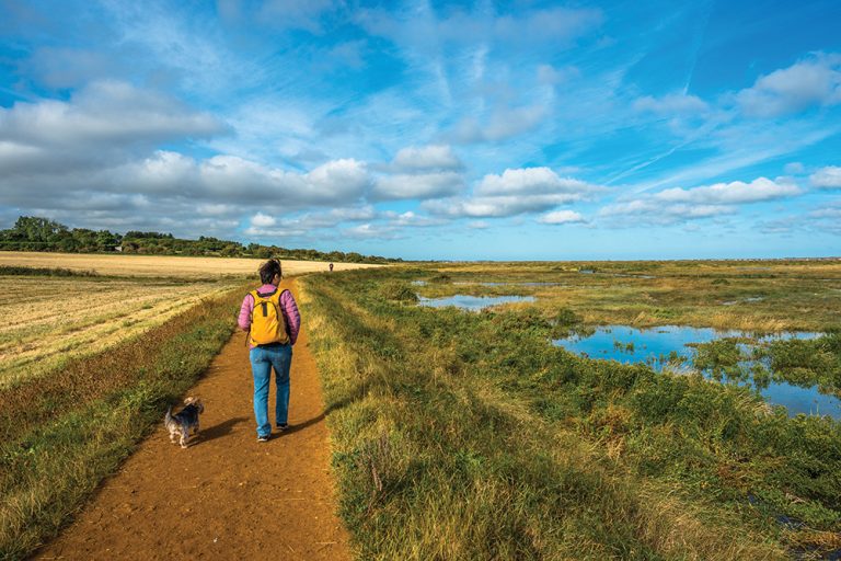 New plans to bring economic, environmental and social benefit across the Fens in UK first