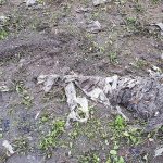 Rod removed from sewer covered in unflushables