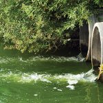 Discharge of sewage into a river