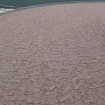 activated sludge foam (4)