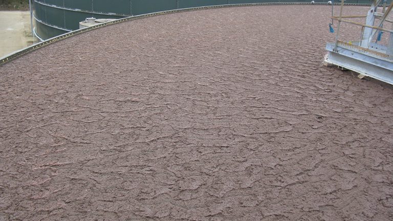 An introduction to Metagenomics