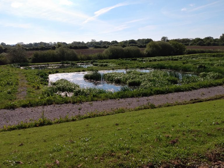 Wessex Water has proven that a nature-based alternative to chemical dosing reduces phosphorus in treated wastewater