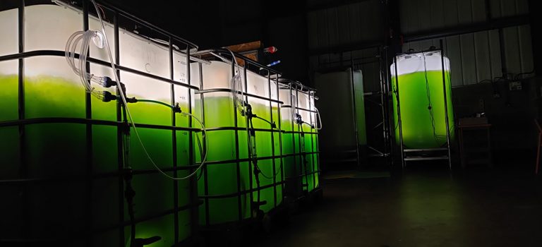 Balancing the risks of new and old Phosphorus removal technologies: is it really better the devil you know?
