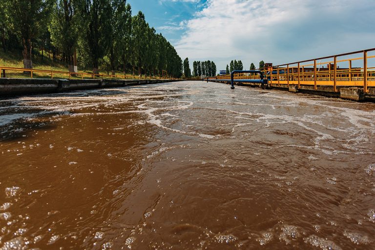A natural step towards chemical-free phosphorus removal