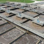 Activated sludge at Anglian Water