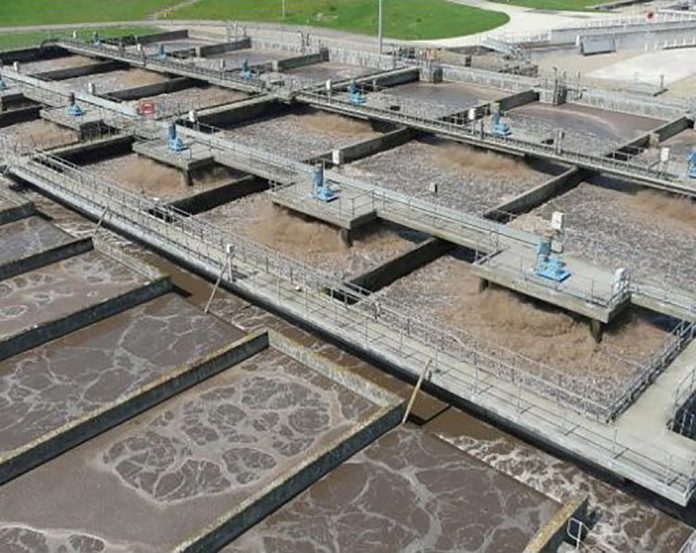 Activated sludge at Anglian Water
