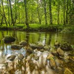 a-river-g1bf3bc39d_1920