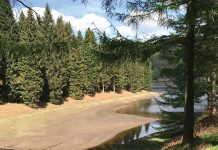 Drought in the UK: reshaping our water’s future