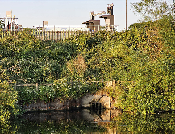 River Kent project: a blueprint for Environment Act water quality monitoring