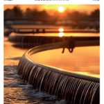 WIJ31-front-cover-web