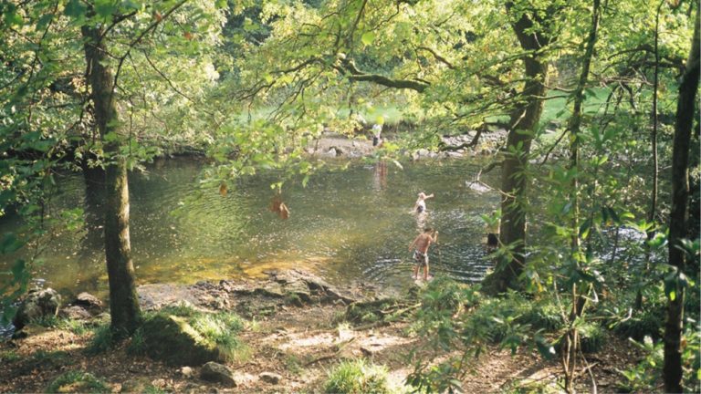 After growing awareness of micropollutants, now comes action