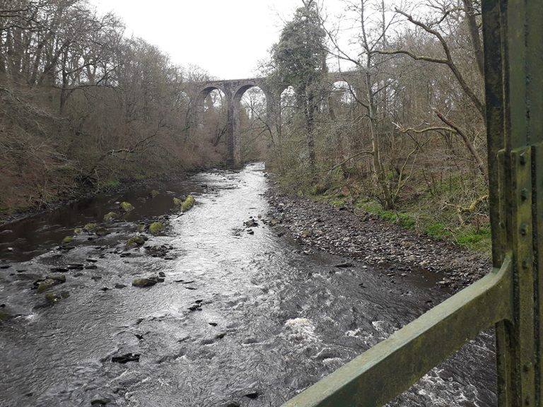 River analysed for AMR sources