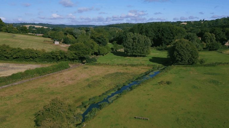 Affinity Water joins global movement for nature reporting