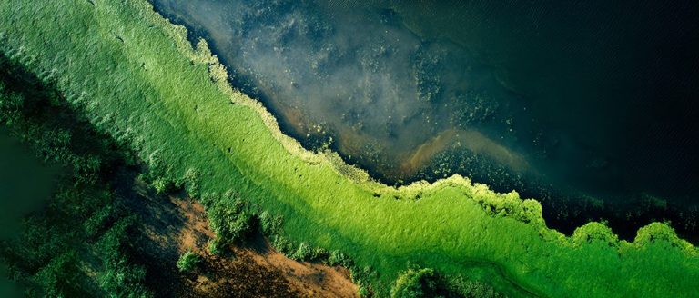 New insight reveals declining phosphorus levels in English rivers