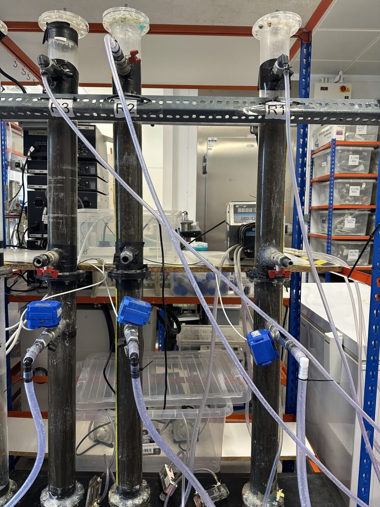 Granules to the rescue: How aggregating bacteria can make bioaugmentation work at scale
